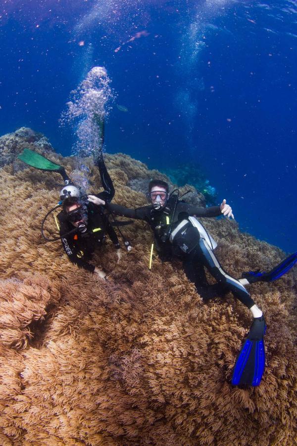 Fiji Lodge Vosa Ni Ua Savusavu Eksteriør billede